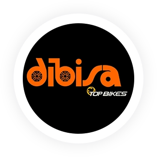 DIBISA, S.A. DE C.V.