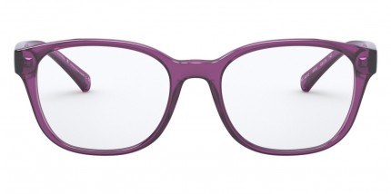 Armani Exchange 3072-8316